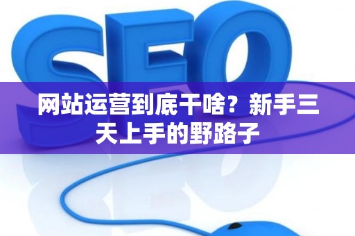 网站运营到底干啥？新手三天上手的野路子